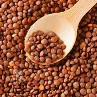 ราคา ถั่วเลนทิลแดง มีเปลือก ถั่วเลนทิล Whole Red Lentils with husk (21201277110)