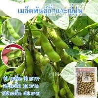ราคา เมล็ดพันธุ์ ถั่วแระญี่ปุ่น หอมกลิ่นใบเตย เมล็ดพันธุ์ถั่วเเระญี่ปุ่น 130 เมล็ด 10 แถม 1 คละได้ (10697326893)