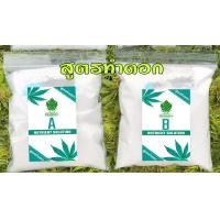 ราคา ปุ๋ย AB กัญ GREENMAN จบดอก ชนิดผง เร่งใบ เร่งดอก ดอกใหญ่ ช่อดอกแน่น เพิ่มไตรโคม รสชาติดี (17549442822)