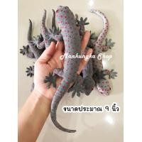 ราคา ขนาด 3 11 นิ้ว ตุ๊กแก ตุ๊กแกปลอม ตุ๊กแกแกล้งคน ตุ๊กแกยักษ์ สัตว์ปลอม ของเล่นแกล้งคน (1717202235)