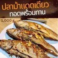 ราคา ปลาม้าทอด ปลาทอดพร้อมทาน นน ก่อนทอด 1000 g ปลาเนื้อแน่น ไม่ตุ ไม่คาว เค็มน้อย สดใหม่ สะอาด เก็บไว้ได้นาน ส่งถึงบ้านพร้อมความอร่อย (17549682502)