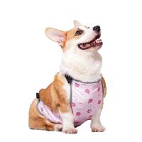 ราคา PETSALUMNI ชุดกันเปื้อนสุนัข กันเปื้อนหมา กันเปื้อนคอร์กี้ กันเปื้อนน้องแมว กันท้องเปื้อน ผ้ากันเปื้อน เสื้อหมา เสื้อแมว (19042015804)