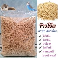 ราคา ข้าวโอ๊ต ข้าวโอ็ต สำหรับนก แฮมเตอร์ กระรอก 1กิโล (3811864936)
