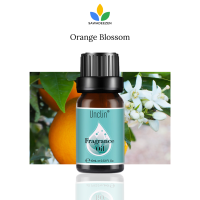 ราคา Orange Blossom Fragrance Oil 10 ml Aroma Oil หัวน้ำหอม หัวเชื้อน้ำหอม กลิ่น ดอกส้ม SAWADEEZEN (20672660486)