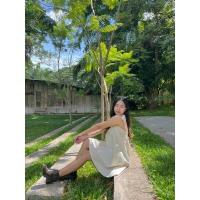 ราคา ? ? ? ? ? ? ต้องตา มินิเดรสผูกโบว์ไหล่ จีบอกผ้าฝ้าย สไตล์มินิมอล สาวหวาน (20478784699)