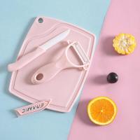 ราคา มีดพร้อมเขียง ชุด 3 ชิ้น มีด เขียง ที่ปอกผลไม้ ชุดมีดพร้อมเขียง พกพา (20723863293)