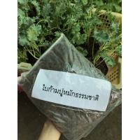ราคา ใบก้ามปูหมักธรรมชาติ คัดพิเศษ ถุงละ 1000 กรัม ใบก้ามปูหมักร่อน ไม่ผสมดิน ถุงละ 39 บาท คุณภาพสูง100 ปลูกบอนสีก็สวย ปลูกต้นไม้ได้ทุกชนิด (14191950941)