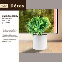 ราคา DECOS ต้นไม้เทียม พร้อมกระถาง 22 ซม DOZY รุ่น DS534 EA (18953804871)
