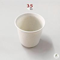 ราคา กระถางแคคตัส กระถางกระบองเพชร กระถางพลาสติก กระถางทรงสูง 2 5 3 5 4 5 นิ้ว (17017160449)