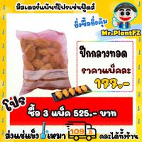 ราคา ปีกกลางไก่ทอดกรอบ แป้งบางกรอบ ส่งแช่แข็งราคาเหมา 109 บาท คละสินค้าได้ทั้งร้าน ไม่ต้องซื้อกล่องโฟม (20250790145)
