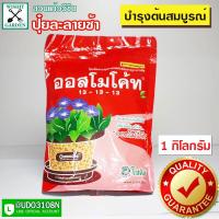 ราคา ออสโมโค้ท ปุ๋ยละลายช้า ถุงขนาด 1 กก สูตรเสมอ 13 13 13 บำรุงต้น ปุ๋ยล่ะลายช้าสูตรสามเดือน ปุ๋ยสูตรเสมอบำรุงต้น (9820279432)