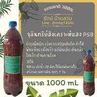 ราคา จุลินทรีย์สำหรับพืช 1500 mL จุลินทรีย์สังเคราะห์แสง จุลินทรีย์น้ำซาว จุลินทรีย์น้ำมะพร้าว ปุ๋ยอินทรีย์ ปุ๋ยน้ำ จุลินทรีย์ (13840242853)