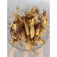 ราคา ดอกว่านดอกทอง ผู้ เมีย Elettariopsis ว่านดอกทอง ว่านราคะ ว่านมหาเสนห์ ที่สุดแห่งว่านมหาเสน่ห์ สรรพคุณเมตตามหานิยม และมหาเสน่ห์ แบบแห้ง ใช้บูชา พกติดตัว ผ่านการทำพิธีแล้ว จัดส่งพร้อมคาถา (20968952130)