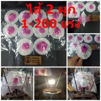 ราคา ไส้ตะเกียง 8 แบบเลือกคละกันได้ ไส้ 500300200 แรง ไส้2ผูก เล็ก ใหญ่ (13692919244)