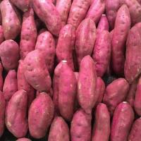 ราคา มันม่วง มันเทศ สดใหม่จากสวน ทำเมนูคาวหวานก็อร่อย ขนาด 10 kg (19964261141)