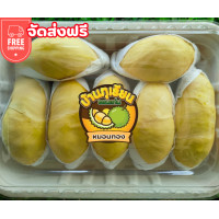 ราคา ส่งฟรี ทุเรียนหมอนทอง เกรดA 7 9พลูกลาง 1กิโลกรัม (19866667918)