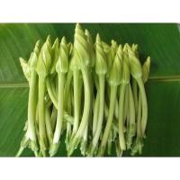 ราคา เมล็ดพันธุ์ ชมจันทร์ ดอกชมจันทร์ งอกดี โตไว เมล็ดคัดพิเศษ 10 แถม 1 คละได้ (19477169648)