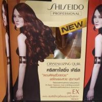ราคา Shiseido ชิเชโด น้ำยาดัดผมดิจิตอล 400 มล 4 สูตร (13132604780)