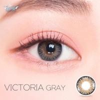ราคา Angel Zone คอนแทคเลนส์ รุ่น 14 2 Victoria (10933564690)