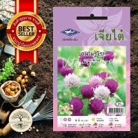 ราคา เมล็ดพันธุ์ ดอกบานไม่รู้โรย คละสี เมล็ด ต้นไม้ เมล็ดผัก เมล็ดดอกไม้ ดอกไม้ ผัก ผักสวนครัว สลัด เมล็ดพันธุ์พืช (10038817049)