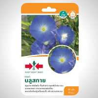 ราคา เมล็ดพันธ์ุ ผักบุ้งฝรั่ง บลูสกาย ตราศรแดง บรรจุ 50 เมล็ด (14117134228)