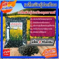 ราคา ส่งฟรี เมล็ดพันธุ์ปอเทือง แพ็ค 2 กิโลกรัม ดอกปอเทือง เมล็ดปอเทือง พืชบำรุงดิน ให้ปุ๋ยอินทรีย ปอเทือง ดอกเหลือง เมล็ดพันธุ์คุณภาพดี (12328546848)