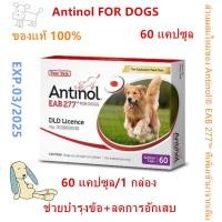 ราคา Antinol DOG 60 แคปซูล หมดอายุ03 2025 แพ็คเกจใหม่ อาหารเสริมบำรุงข้อ ข้ออักเสบ 1 กล่องบรรจุ 60 เม็ด (20971464831)