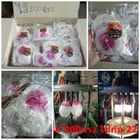 ราคา ไส้ตะเกียง 8 แบบเลือกคละกันได้ ไส้ 500300200 แรง ไส้2ผูก เล็ก ใหญ่ (13692919243)