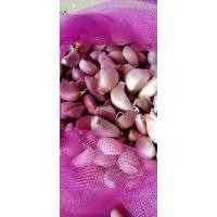 ราคา กระเทียมแกะกลีบใหญ่ (18613706904)