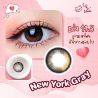 ราคา คอนแทคเลนส์ฟิลเตอร์ไล่สี ขนาดกลาง New York kittykawaii (17906716934)
