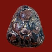 ราคา พระปิดตาหลวงพ่อจีน วัดท่าลาด เนื้อผงคลุกรัก (16477358203)