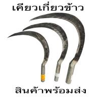 ราคา มีดเคียว เคียวเกี๋ยวข้าวเคียวเกี่ยวหญ่างานทั่วไปขนาด13นิ้ว (16282851242)