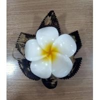 ราคา ที่วางสบู่ จากกะลามะพร้าว งานแฮนด์เมด คละแบบ (19365441507)
