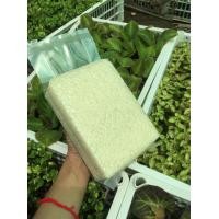 ราคา ข้าวหอมมะลิ ข้าวขาวอร่อย จากบ้านสวนเชียงราย กกละ 89 บาท (9564536147)