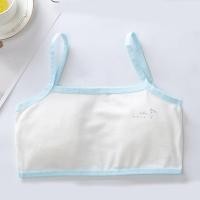 ราคา อันเดอร์เอียร์สำหรับเด็ก (20815026046)