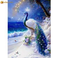 ราคา winnereco ภาพวาดเพชร นกยูง DIY สว่านเต็มตัวรูปภาพวาดประดับเพชรกลม5D ครอสติสคริสตัล งานฝีมือศิลปะสติ๊กเกอร์ตกแต่งบ้าน ครอสติชคริสตัDiamond Painting 30X40ซม (19766758246)