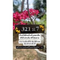 ราคา ป้ายบ้านเลขที่ ตัวเลขสีเงิน ไม้สักแท้ ขนาด 7 5 คูณ 25 cm ตัวเลขเรซิ่น 1 4 นิ้ว ป้ายไม้บ้านเลขที่เสริมความสิริมงคล เสริมโหงวเฮ้ง เงินทองไหลมาเทมา ลูกค้าสามารถแจ้งเลขที่บ้านทางแชทได้เลยครับ (21280537033