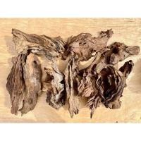 ราคา ทิลแลนเซีย ติดขอนไม้ สับปะรดสีรากอากาศ ติดขอนไม้ พร้อมแขวน (15963681258)