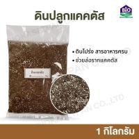 ราคา ดินปลูกแคคตัส ดินปลูกกระบองเพชร ไม้อวบน้ำ 1กิโล ช่วยล่อรากแคคตัส เหมาะสำหรับแคคตัสที่เพิ่งนำลงกระถางใหม่ (19756291654)