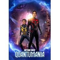 ราคา Ant Man แอนท์ แมน ภาค 1 3 201520182023 DVD หนัง มาสเตอร์ พากย์ไทย (19101484488)