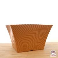 ราคา กระถางม้าลายปากบาน 8 นิ้ว กระถางพลาสติก แคคตัส กระบองเพชร ไม้อวบน้ำ Cactus Succulent (4538064987)