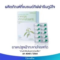 ราคา ฟ้าทะลายโจร แคปซูล ฟ้าทะลายโจรกิฟฟารีน ยาแผนโบราณ ยาสามัญประจำบ้าน (18837844877)