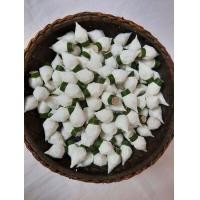 ราคา ดอกข่าแหลม ข่าตูม ข่าอูม เสมือนของสดจริง (8035669430)