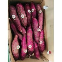 ราคา มันหวานญี่ปุ่น Beni haruka หวาน หอม เนื้อเหลือง 2 kgของแท้ นำเข้า (18746088229)