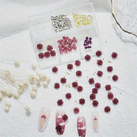 ราคา ลูกปัดเรซิ่น รูปดอกไม้ 3D 6 ช่อง ขนาดเล็ก สีขาว สีทอง สีเงิน สําหรับตกแต่งเล็บ DIY (19987221120)