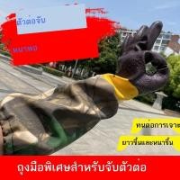 ราคา ถุงมือป้องกันตัวต่อสำหรับจับตัวต่อ ป้องกันตัวต่อ พีวีซีหนา ป้องกันการเจาะ การเลี้ยงผึ้งต่อยป้องกันตัวต่อพิเศษ (21046884146)