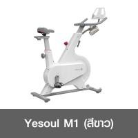 ราคา ประกัน 1ปี Yesoul M1 จักรยาน จักรยานออกกาย จักรยานไฟฟ้า จักรยานไฟฟ้า2021 จักรยานออกกำลังกาย จักรยานแม่เหล็ก จักรยานระบบแม่เหล็ก (17865599097)