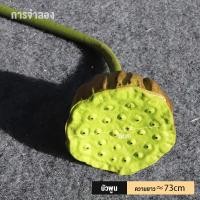 ราคา ดอกบัวดอกบัวดอกบัวดอกบัวเพดานดอกไม้จำลองสำหรับวัดพระพุทธรูปตก แต่งดอกบัวดอกบัว (21031041825)