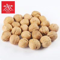 ราคา ถั่ววอลนัทเปลือกบางทานอร่อย500กรัมราคา核桃วอลนัท (19457404688)