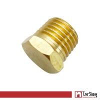 ราคา ข้อต่อทองเหลืองปลั๊กอุด GIANTTECH รุ่น PBT04 ขนาด 4 หุน สีทอง (16529308173)